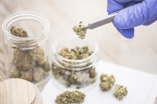 Five key trends in life sciences