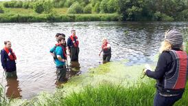 Restoring Irish plants: six key actions to take, from creating new habitats to better biodiversity research