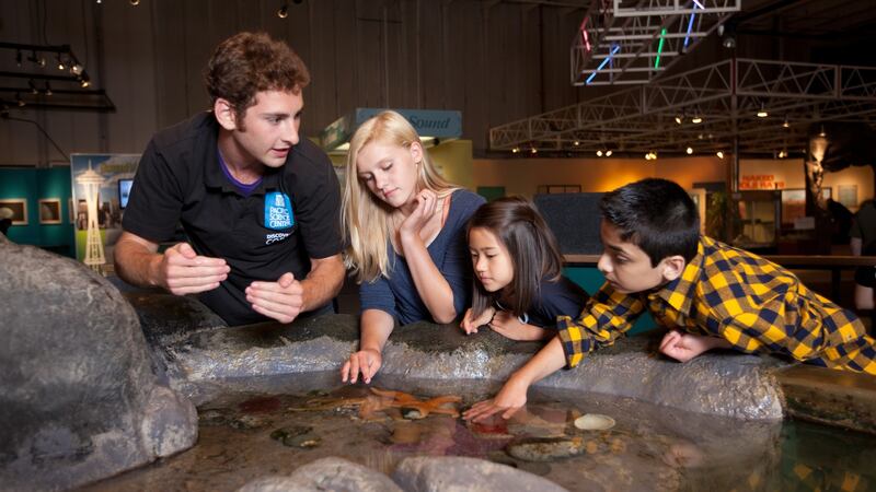 Exploring the tide pool at the Pacific Science Center in Seattle. The centre, which is right next door to the city’s famous Space Needle, has numerous indoor and outdoor offerings. Photographs: Pacific Science Center