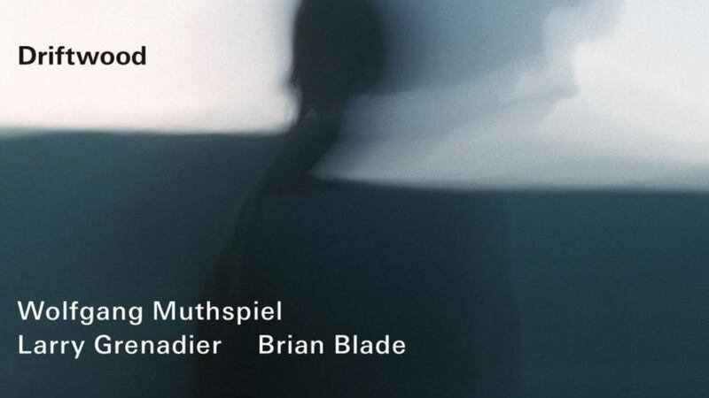 Wolfgang Muthspiel: Driftwood