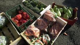 Over 90% buy organic produce at least once a week, Seanad told