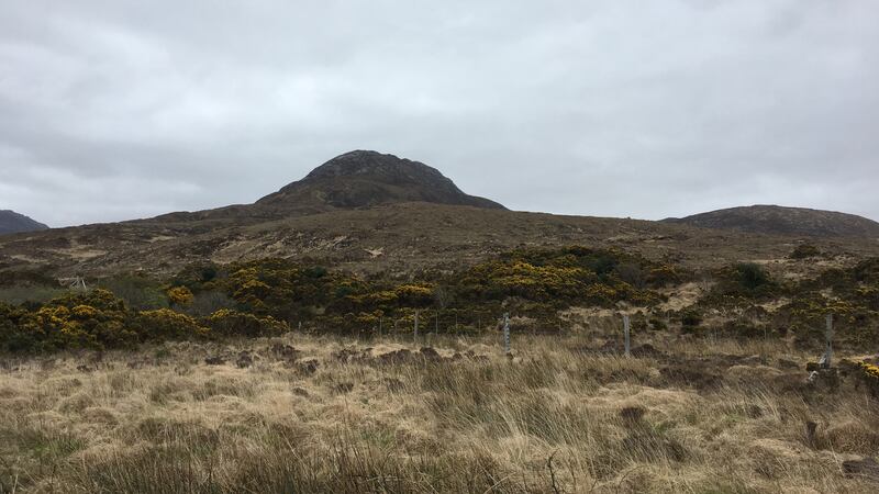 Connemara National Park with Diamond Hill near Letterfrack Co. Galway. Photograph: Bryan O'Brien