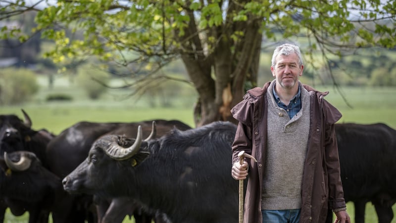 Johnny Lynch: Even the Italians, who are very precious about mozzarella have given his cheese the thumbs-up.