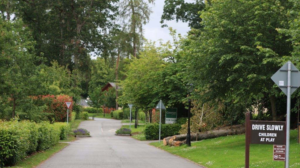 Green is good: a housing estate in Maynooth, Co Kildare, demonstrates the look of tree cover. Among other benefits trees can protect against air and noise pollution