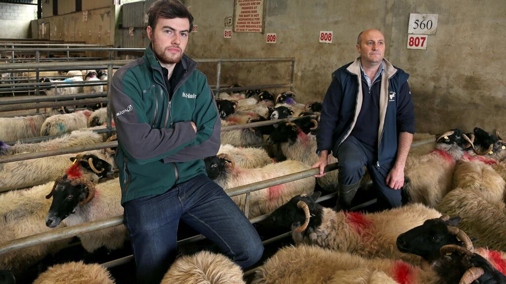 Connemara sheep farmer Tom O’Halloran and his son Tomas at Maam Cross Mart. Photograph: Joe O’Shaughnessy.