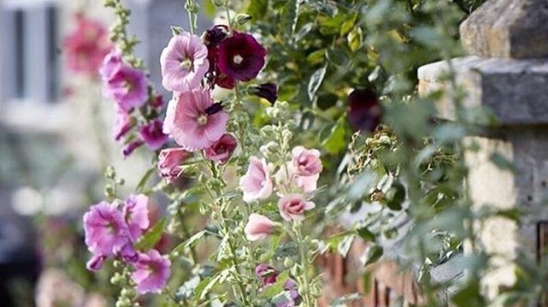 @gardenista_sourcebook