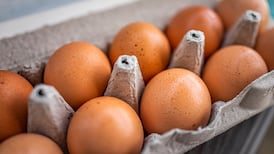Food regulator seeks further powers following shortfall in egg sector data