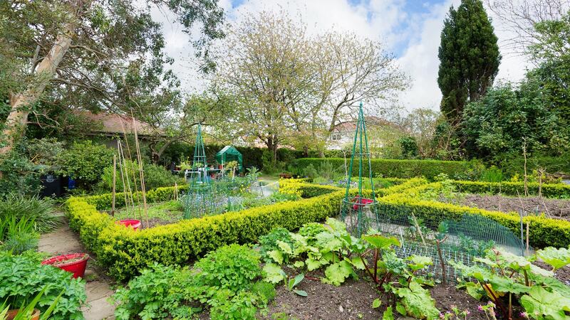 The cottage garden at Larkvale, 27 Marborough Road, Glenageary
