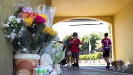 Teenager charged with murder asks High Court to halt trial until new law enacted