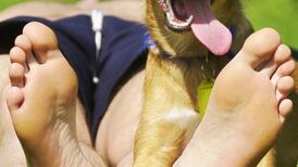 Why man’s best friend should be treasured