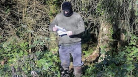 Border region ‘perilously close' to lawlessness, says Quinn chief