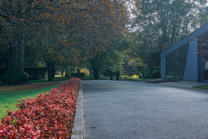 People’s Park, Limerick: features colourful flowers and historical landmarks. Photograph: Getty Images