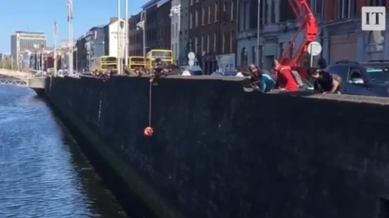 Onlookers cheer as a cat clinging to a lifebuoy is pulled out of the river Liffey by a passerby at Grattan bridge in Dublin city centre. Photograph: Lorcan Collins/@1916walkingtour