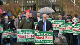 Thousands of farmers begin voting on  IFA leadership
