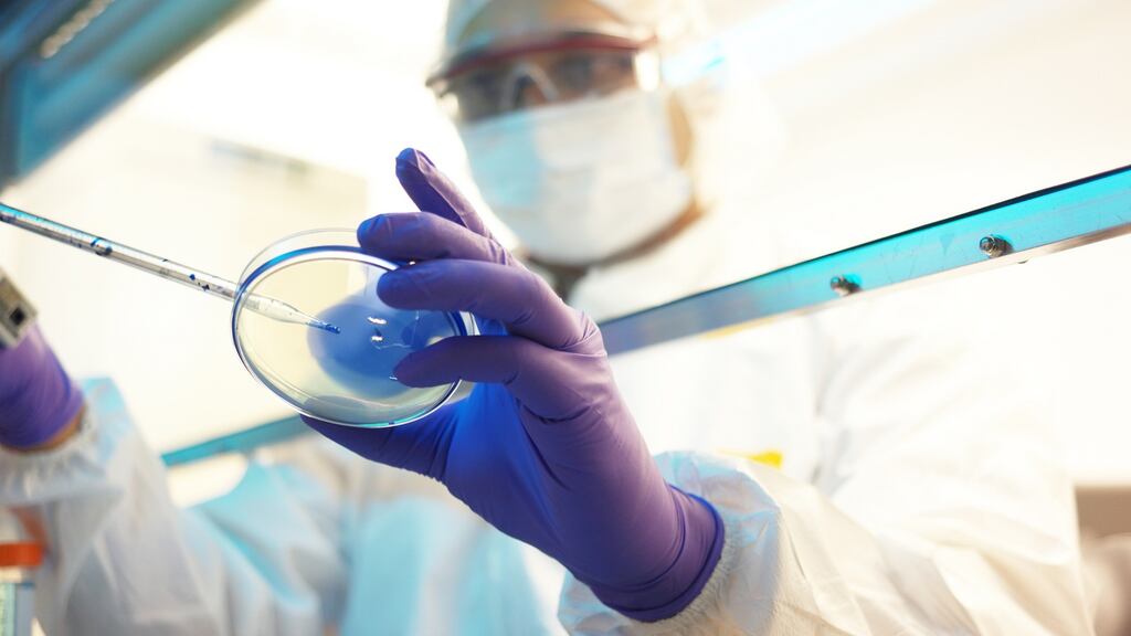 Mallinckrodt’s new location on the Cruiserath Road in Blanchardstown also houses a state-of-the-art manufacturing facility