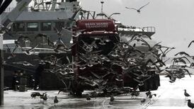 Marine minister hails fish deal as ‘balanced’