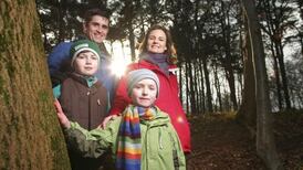 Tech savvy children unable to see wood for the trees