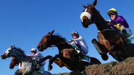 Racecourse body to decide on media rights bid of €6.9m