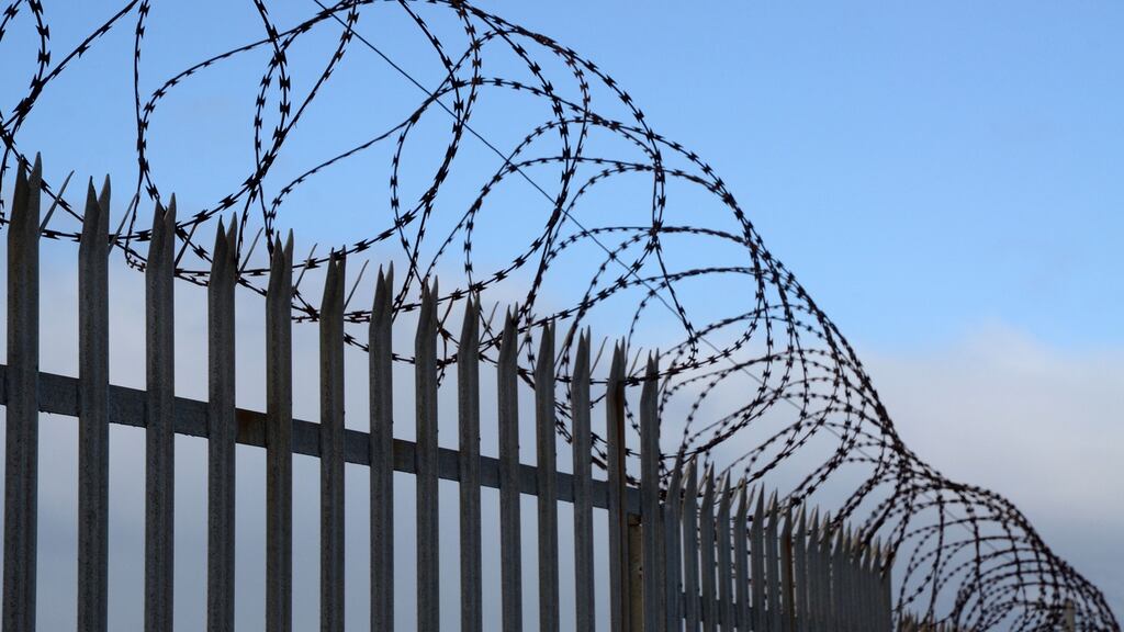 I can see the fence glinting through the blur of the trees. It stands 12 feet high, topped with razor wire. Photograph: Christopher Murray/EyeEm/ Getty