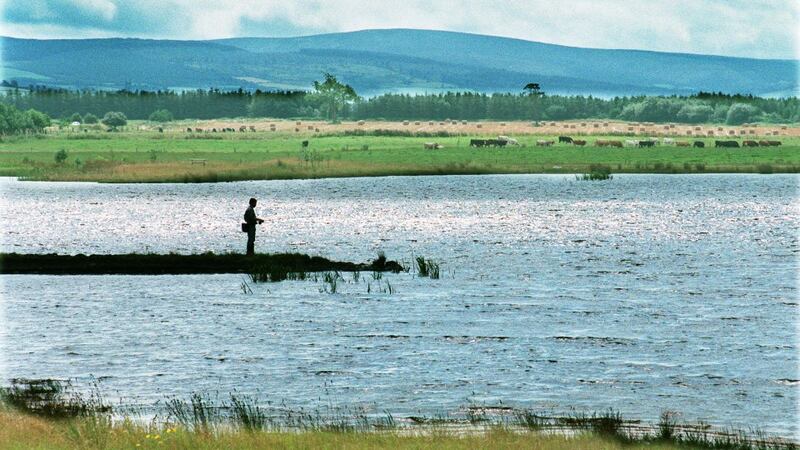 Lough Boora Parklands
