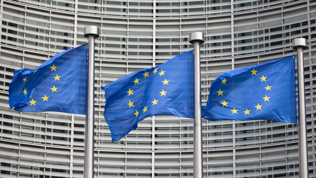 The European Commission said the scheme is a necessary measure. Photograph: Jasper Juinen/Bloomberg
