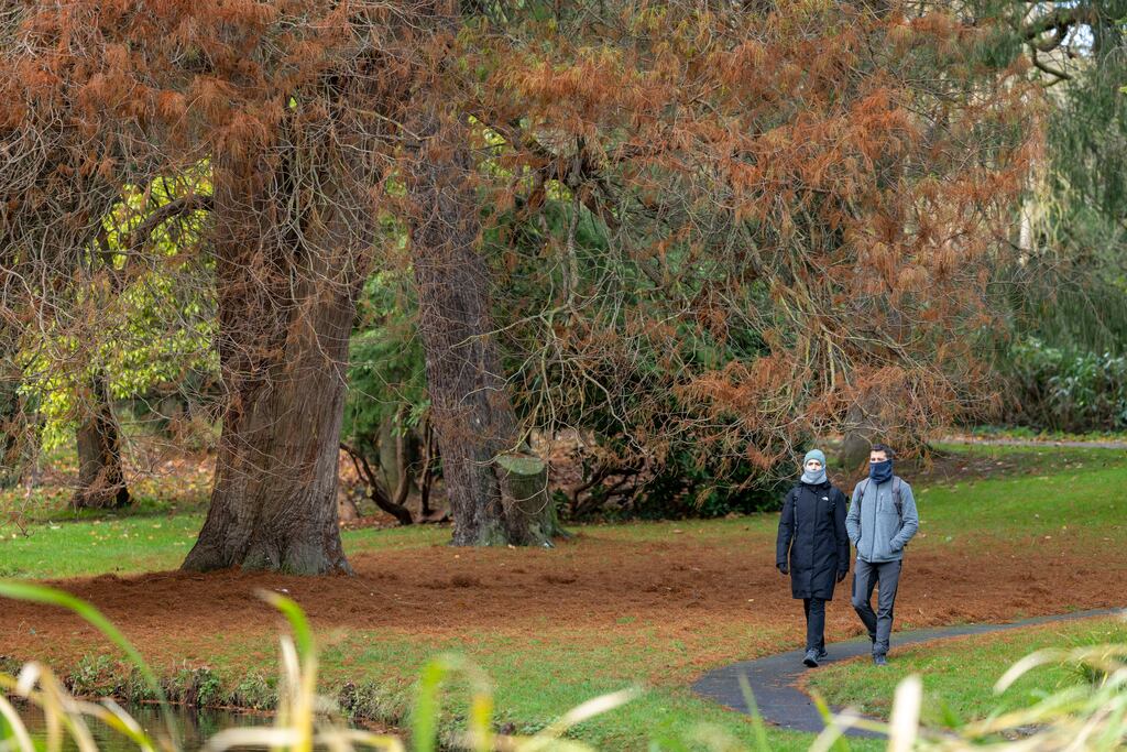 People enjoying winter sunshine in the Botanic Gardens, Dublin. Photograph: Tom Honan / The Irish Times