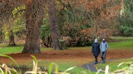 Ireland weather: Storm Bert clean-up continues as more moderate wind and rain forecast