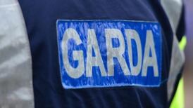 Man (40s) dies after being hit by car in Co Wicklow