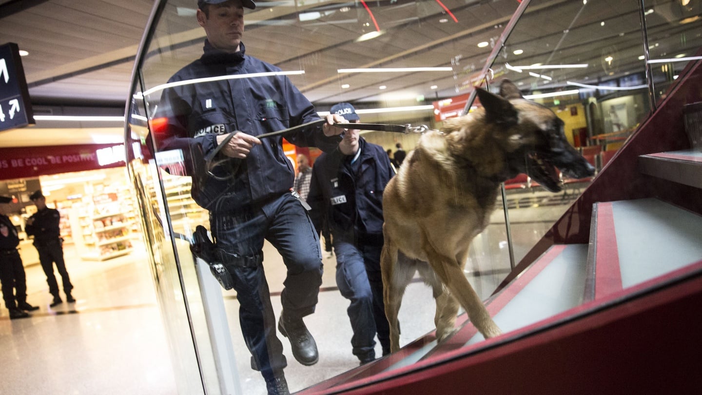 French police officers and a sniffer dog patrol a terminal building at Charles de Gaulle airport, Roissy, France, after the EgyptAir crash of May 19th, 2016. Photograph: Christophe Morin/Bloomberg
