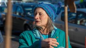 Cork grandmother goes on trial for felling Sitka spruce trees