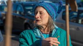 Woman (61) spared jail for cutting down 250 Coillte trees with chainsaw