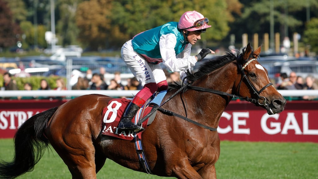 Enable finished second at the 2019 Prix de l’Arc de Triomphe with Frankie Dettorri on board. Photo: Geoffroy Van Der Hasselt/AFP via Getty Images