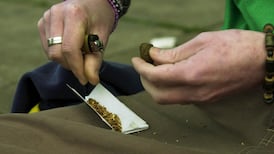 Cannabis worth €350,000 seized from ‘sophisticated grow house’