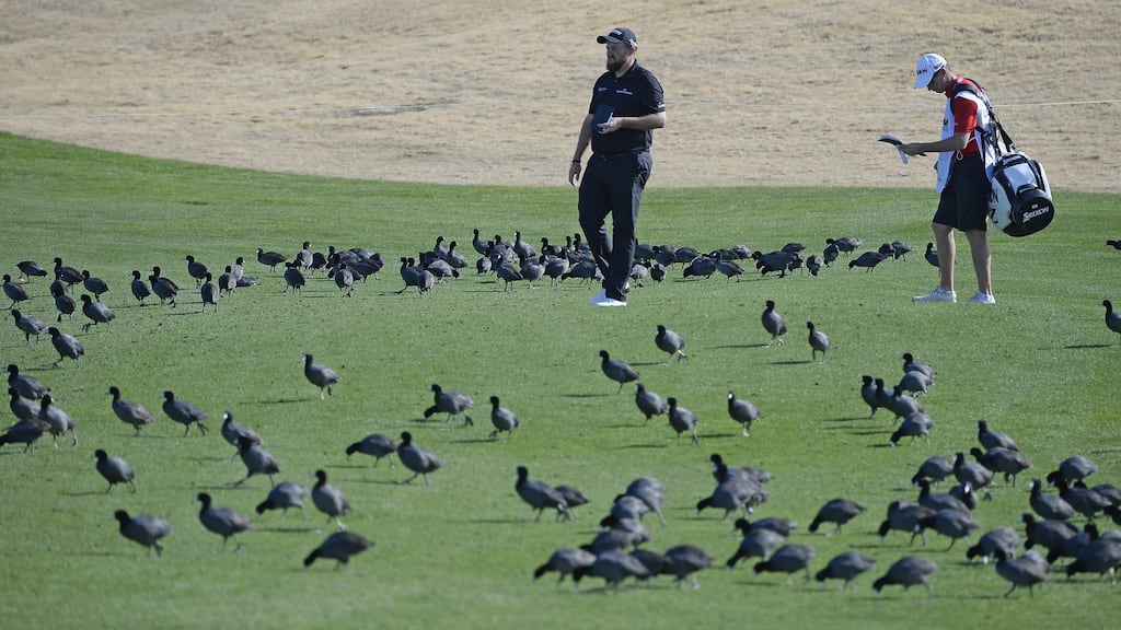 Shane Lowry during his second round in Arizona. Photograph: Robert Laberge/Getty