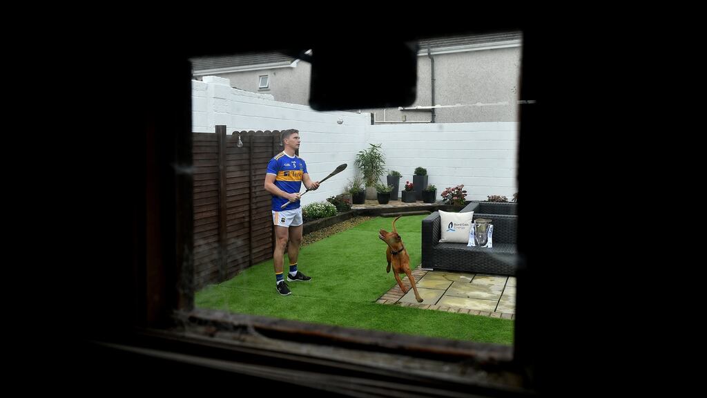 Tipperary’s Brendan Maher with his pointer dog Oscar, at his home in Borrisoleigh. Photo by Brendan Moran/Sportsfile
