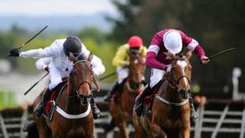 Champagne Fever to make amends for being touched off in Cheltenham’s Arkle Trophy