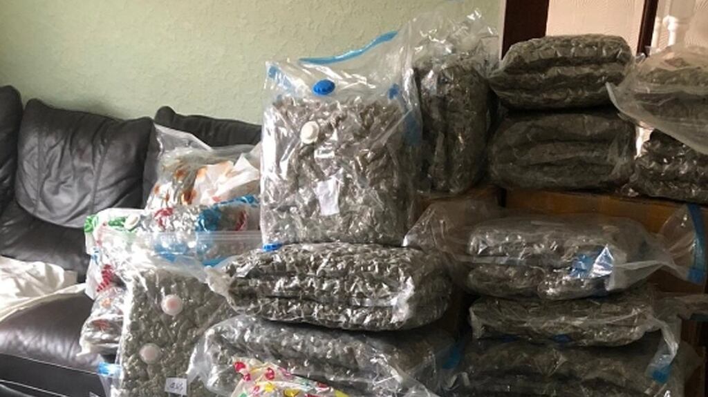 Undated handout photo issued by the PSNI of cannabis worth more than £2 million which detectives have seized in Belfast. Photograph: PSNI/PA Wire