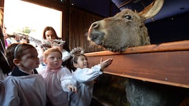 No room at the inn for Mansion House crib