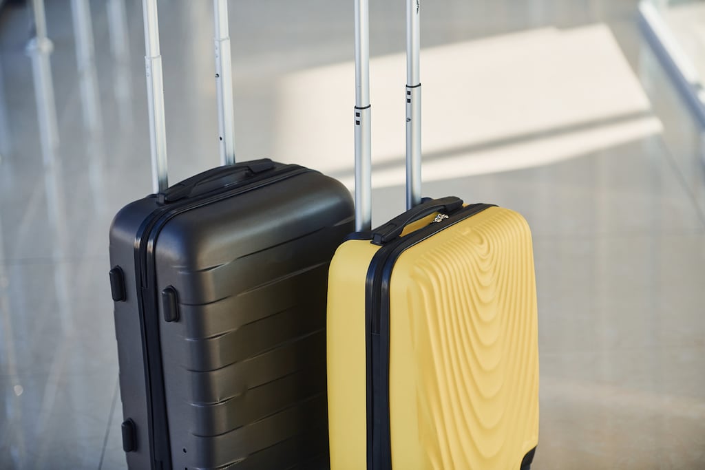 Frustrated Aer Lingus passengers say the airline left their bags in Dublin Airport for almost two weeks after delays that hit a flight from Dubrovnik this month. Photograph: iStock