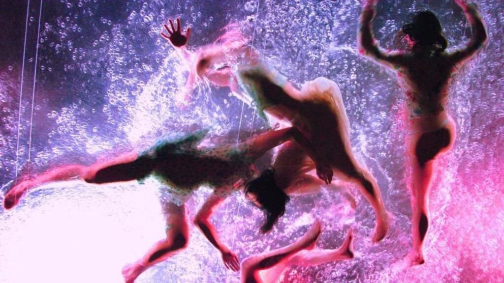 Street theatre from Macnas and Fuerza Bruta