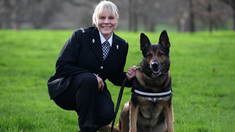 Louise McMullen with Wolfie, one of the finalists for Friends for Life 2020, at a launch event for Crufts and Friends for Life in Green Park, London on February 18th. Photograph: Kirsty O’Connor/PA Wire