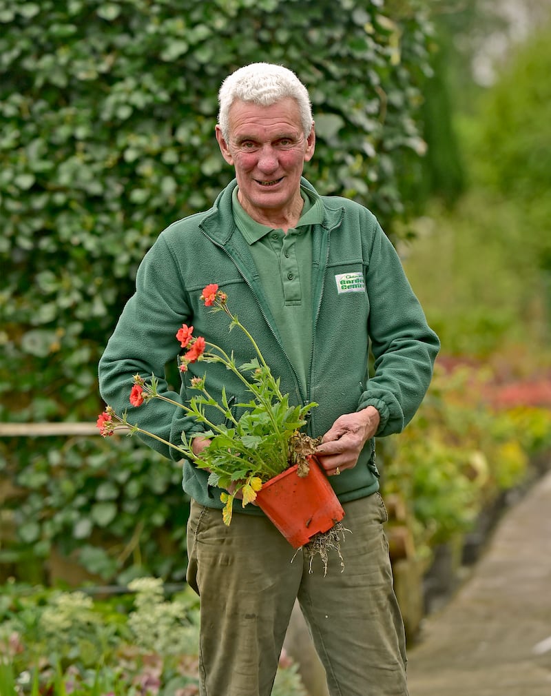 Michael Chambers who owns a garden centre along the river in Newport, Co Mayo. Photograph: Conor McKeown