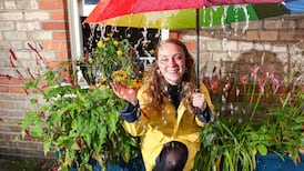 Nature-based solutions to climate change are all around us