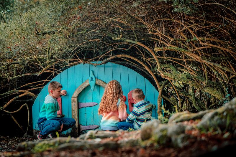 Slieve Gullion Forest Park