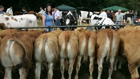 Emissions targets ‘not consistent’ with Government legislation, says Climate Change Advisory Council