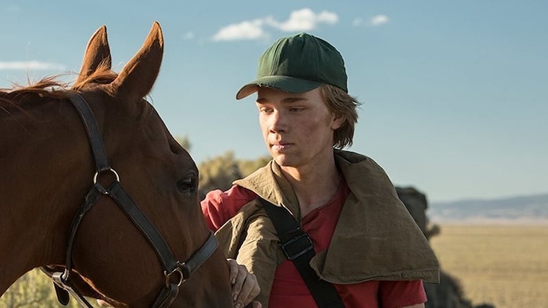 Lean on Pete: Named for an overworked, worn-down beast