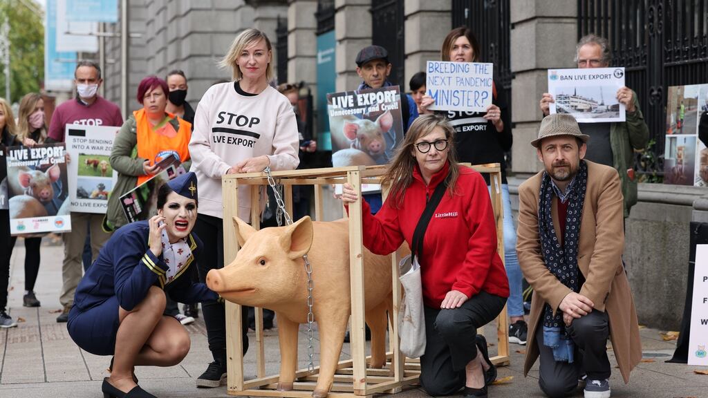 Attending an Ethical Farming Ireland protest  outside the Dáil were campaigner Marta Garcia Mateo, Pauline McLynn, Cathy Davey and Neil Hannon. The group has condemned plans to export live pigs to China. Photograph: Dara Mac Donaill