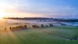 A daily wonder – the enduring magic of the sound of birdsong at dawn