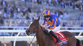 Lake Victoria expected to be sharper for tilt at classic glory at the Curragh