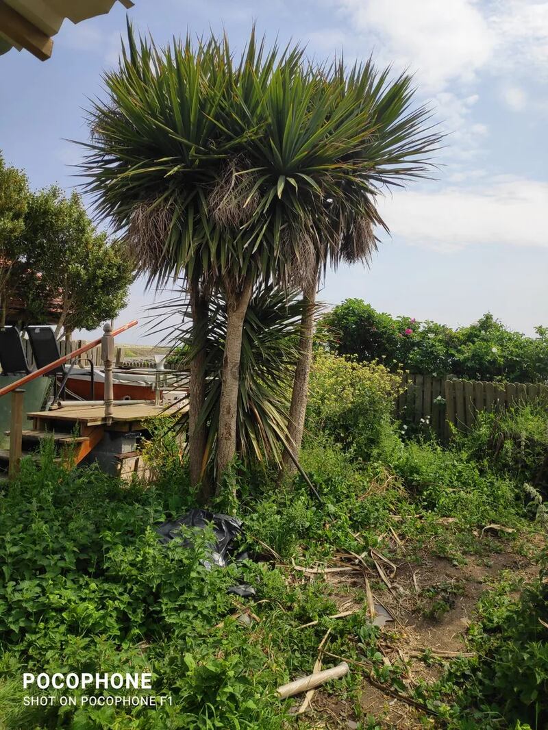 An outdoor area of the property